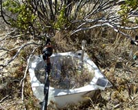 Equipment used to measure nitrogen gases released from desert soils.