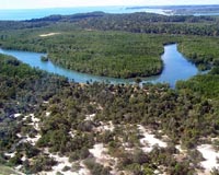 Razakamanarina, estimates that some 30,000 cubic metres of precious woods, the equivalent of 11,000 hectares of forest, have either been exported or are on the point of being exported since the start of the year.