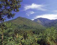 The Appalachian Mountains in the USA
